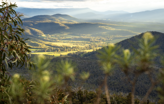 Image by Majell Backhausen Insta: @majellb Footprints running camp, footprints camp, footprints running, footprints running australia